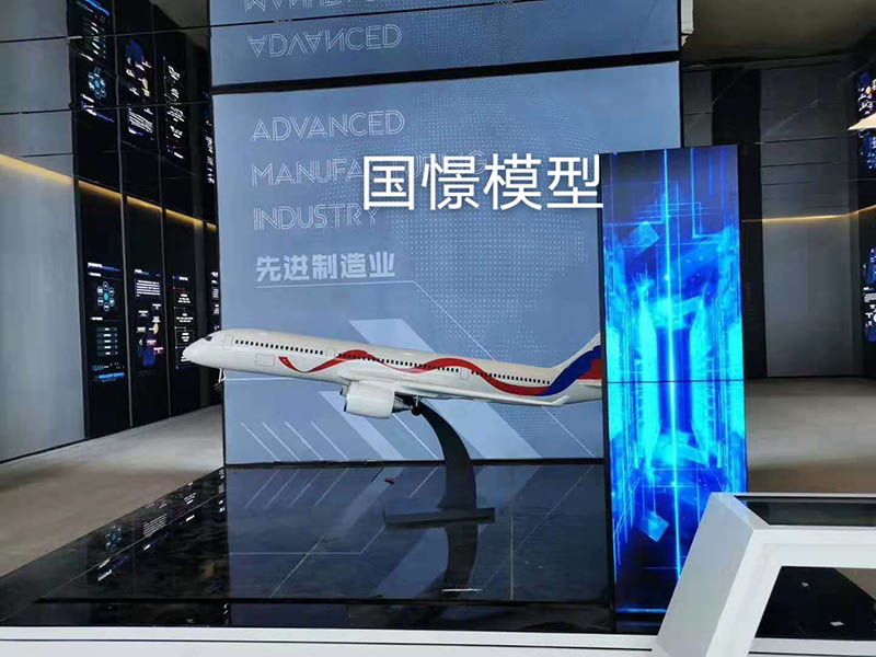 沐川县飞机模型